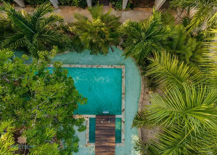 Soko * Tulum